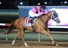 Family Tree Scores in Iowa Oaks Family Tree Scores in Iowa Oaks