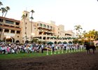 California Diamond Shines in Paddock Sale California Diamond Shines in Paddock Sale