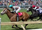 Last-Out Stakes Winners Meet in Play the King Last-Out Stakes Winners Meet in Play the King