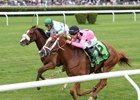 Catch a Glimpse Something to See in Oaks Catch a Glimpse Something to See in Oaks
