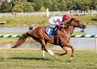 Coastal Sea sets course record at Laurel Park July 24