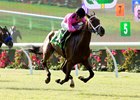 Monster Bea Seeks Del Mar Stakes Double Monster Bea Seeks Del Mar Stakes Double