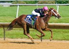 I'm a Chatterbox wins Obeah Stakes at Delaware Park
