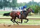 Ain't In No hurry wins a maiden race at Ellis Park