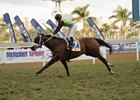 Red Ray takes the Mercury Sprint