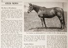 BH 100: A 'Profusion' of Stakes Winners BH 100: A 'Profusion' of Stakes Winners
