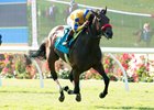 Mokat rolls home to win the San Clemente.