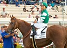 Stellar Wind