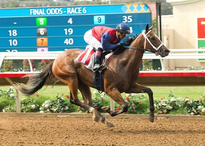 Miss Sunset Maiden Win, Del Mar, July 30, 2016