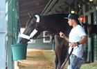 The Thoroughbred Industry Employee Awards honor the Thoroughbred industry's hard-working employees