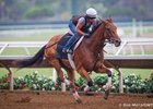Beholder worked five furlongs in :59 1/5 at Del Mar on July 24