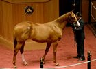 Hip 222, a Curlin colt, brought $475,000.