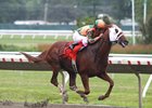 No Distortion rolls to victory in the Long Branch Stakes