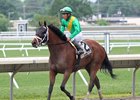 Genre, winner of the 2016 Molly Pitcher Stakes at Monmouth Park