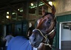 Nyquist