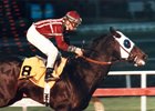 Sire King Glorious Dies in Japan Sire King Glorious Dies in Japan