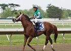 Infinite Wisdom in Wide-Open Oceanport Infinite Wisdom in Wide-Open Oceanport