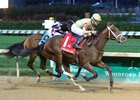 Casse, Leparoux Complete Stakes Double Casse, Leparoux Complete Stakes Double