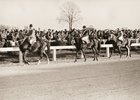 War Admiral (No. 1) and Seabiscuit head to the post