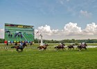 Laurel Park racing