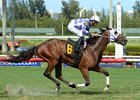 Gentlmens Agrement wins July 10 at Gulfstream; Little Mike fifth
