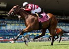 Jockey David Moran guides Dimension to victory in the 2016 King Edward Stakes.