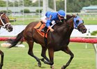 Doctor J Dub Breakthrough Horse for Antonucci Doctor J Dub Breakthrough Horse for Antonucci