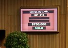 High-Priced Sweet Loretta in Schuylerville High-Priced Sweet Loretta in Schuylerville