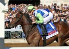 Divining Rod Stretches Out for Fair Hill Work Divining Rod Stretches Out for Fair Hill Work