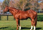 Secretariat