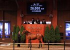 Hip 107 by Deep Impact out of Awesome Feather