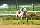 Too Much Bling Sire of Texas Futurity Winners Too Much Bling Sire of Texas Futurity Winners