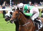 Deauville (inside) wins the 2016 Belmont Derby Invitational Stakes at Belmont Park