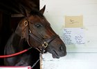Tepin at Churchill after her successful trip to Great Britain