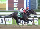 Bitumen Rallies to Sanford Score Bitumen Rallies to Sanford Score