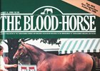 The "beautifully balanced" A.P. Indy, a $2.9 million purchase, became a classic winner, Horse of the Year, and leading sire