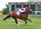 Senora Acero First Winner for The Factor Senora Acero First Winner for The Factor