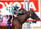 She's Not Here wins the 2016 Yellow Ribbon Handicap.