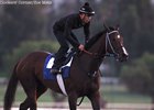 Songbird - Santa Anita, July 9, 2016
