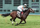 Blame Angel Wins a Day After Trainer's Death Blame Angel Wins a Day After Trainer's Death