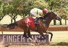 Hit It Once More wins New York Derby