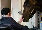 The Paralyzed Jockey Who's Still in the Race The Paralyzed Jockey Who's Still in the Race