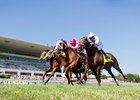 Greengrassofyoming (pink silks) gets his head in front to win the Stars and Stripes.