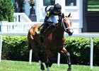 Sweet Acclaim Favored in Ellis Park Turf Sweet Acclaim Favored in Ellis Park Turf