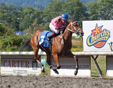 Assets Included winning the British Columbia Cup Nursery S. at Hasting's Racecourse August 1st, 2016