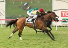 Sobradora Inc Still Unbeaten After U.S. Debut Sobradora Inc Still Unbeaten After U.S. Debut