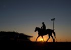 Ontario Horsemen Question Approach to Woodbine Cuts Ontario Horsemen Question Approach to Woodbine Cuts