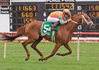 Da Big Hoss won the American St. Leger last out