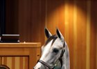 Tapit Leads F-T Saratoga by Average, Median Tapit Leads F-T Saratoga by Average, Median