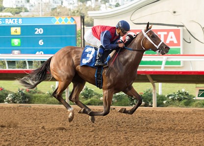 Miss Sunset wins the 2016 Generous Portion Stakes